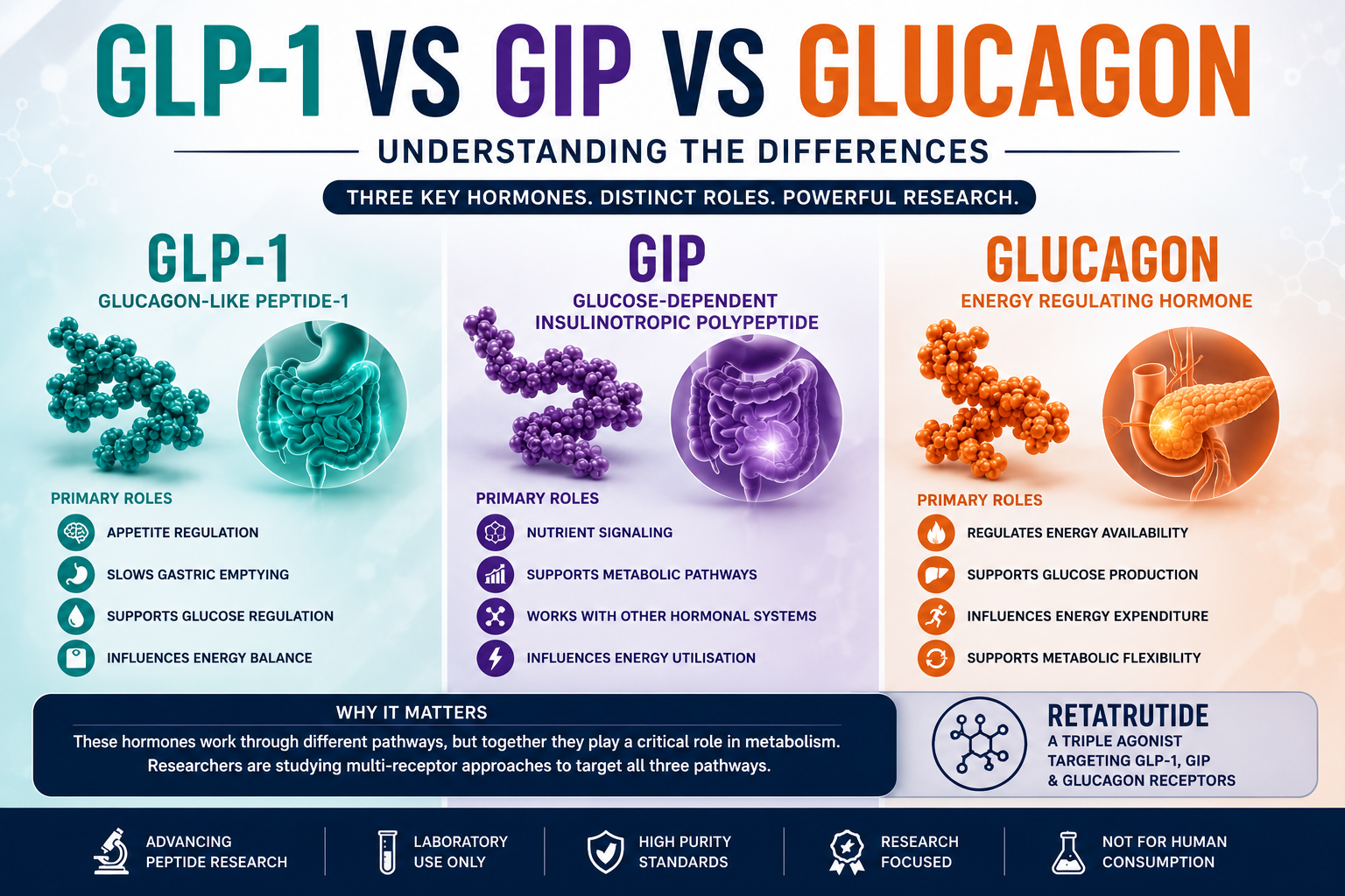 GLP-1 vs GIP vs glucagon infographic explaining metabolic hormone pathways and triple agonist peptide research.